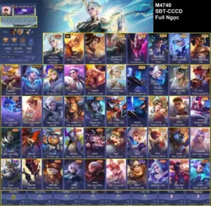 shop acc reg lq
